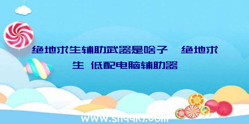 绝地求生辅助武器是啥子、绝地求生